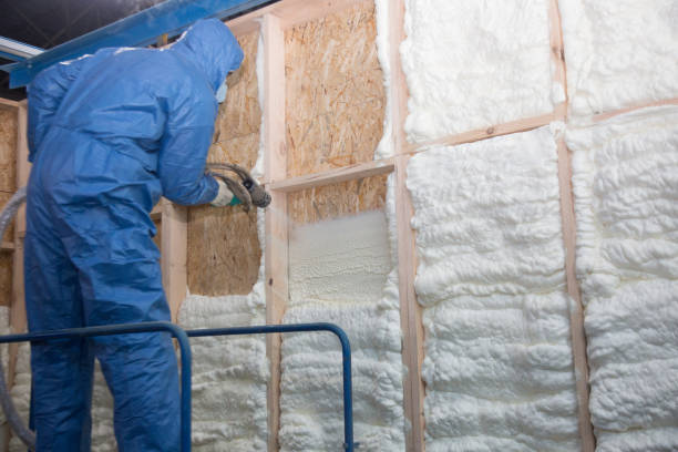 Best Pipe and Duct Insulation  in Varnville, SC